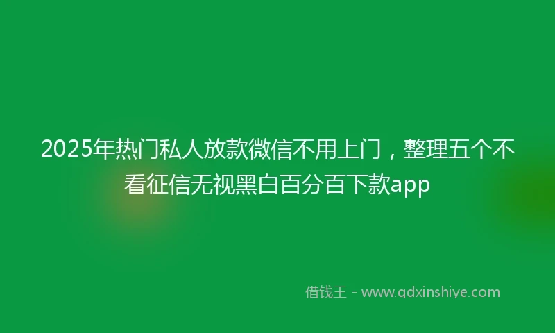 2025年热门私人放款微信不用上门，整理五个不看征信无视黑白百分百下款app