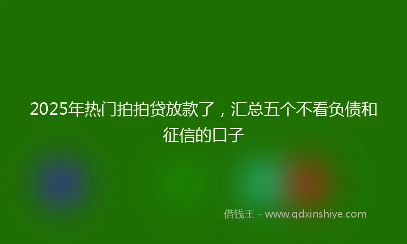 2025年热门拍拍贷放款了，汇总五个不看负债和征信的口子