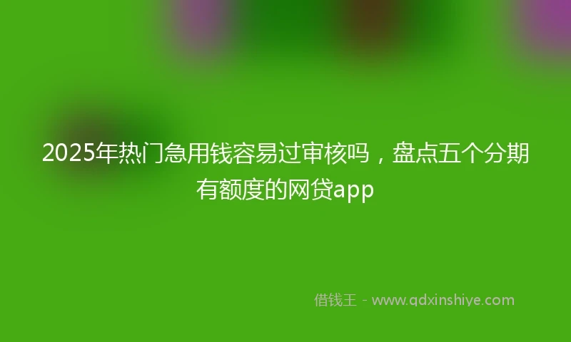2025年热门急用钱容易过审核吗，盘点五个分期有额度的网贷app