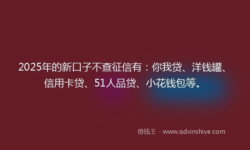 2025年的新口子不查征信有：你我贷、洋钱罐、信用卡贷、51人品贷、小花钱包等。
