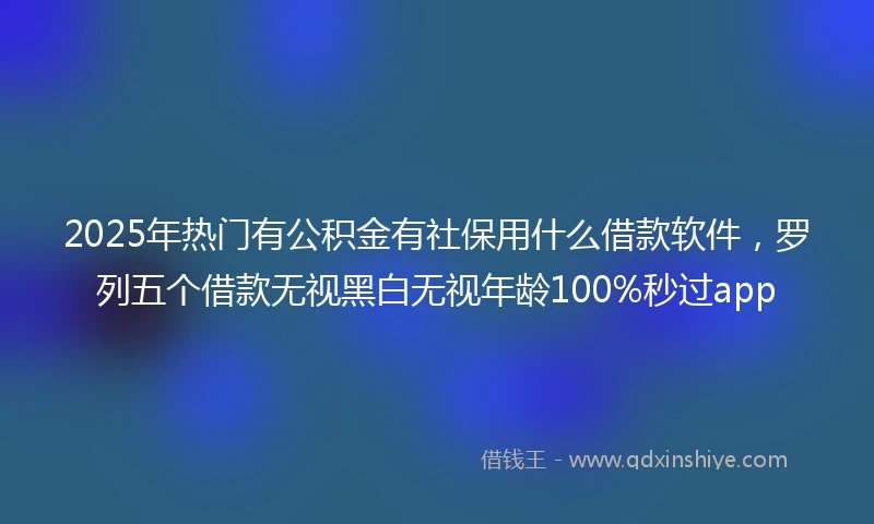 2025年热门有公积金有社保用什么借款软件，罗列五个借款无视黑白无视年龄100%秒过app