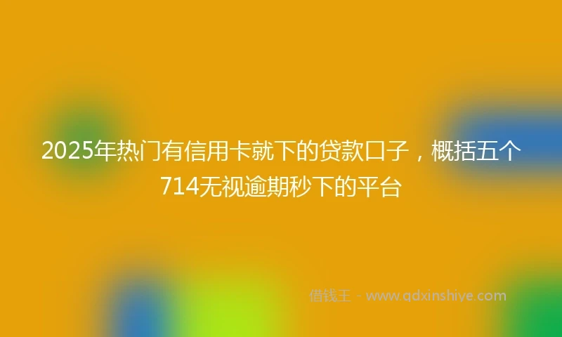 2025年热门有信用卡就下的贷款口子，概括五个714无视逾期秒下的平台