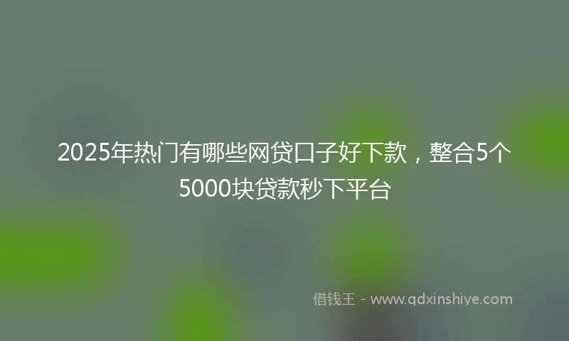 2025年热门有哪些网贷口子好下款，整合5个5000块贷款秒下平台