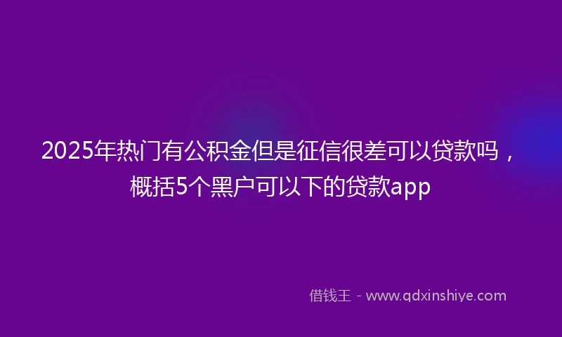 2025年热门有公积金但是征信很差可以贷款吗，概括5个黑户可以下的贷款app