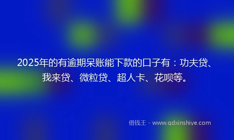 2025年的有逾期呆账能下款的口子有：功夫贷、我来贷、微粒贷、超人卡、花呗等。
