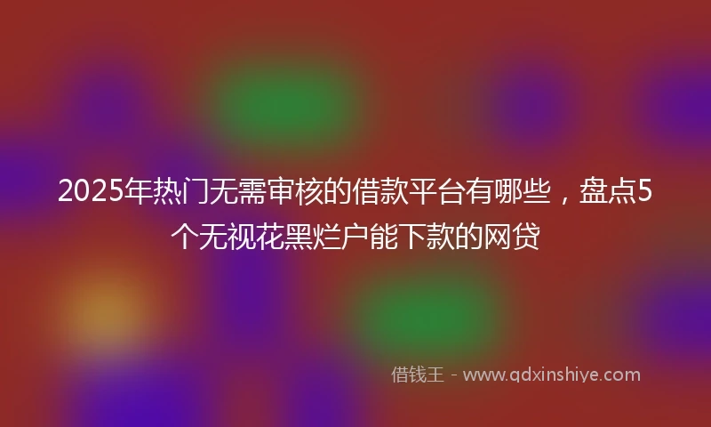 2025年热门无需审核的借款平台有哪些，盘点5个无视花黑烂户能下款的网贷
