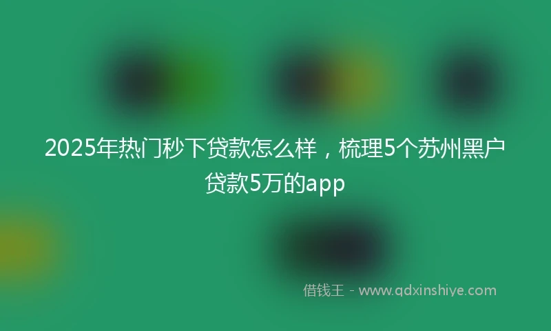 2025年热门秒下贷款怎么样，梳理5个苏州黑户贷款5万的app