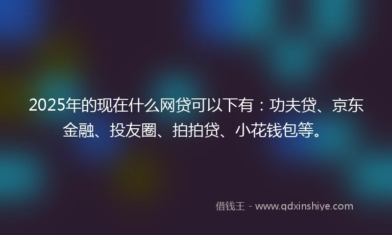 2025年的现在什么网贷可以下有：功夫贷、京东金融、投友圈、拍拍贷、小花钱包等。