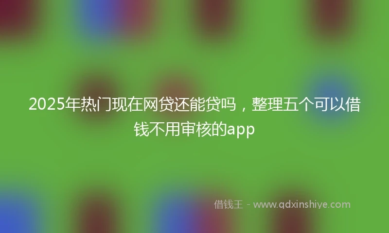 2025年热门现在网贷还能贷吗，整理五个可以借钱不用审核的app
