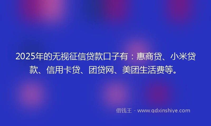 2025年的无视征信贷款口子有：惠商贷、小米贷款、信用卡贷、团贷网、美团生活费等。