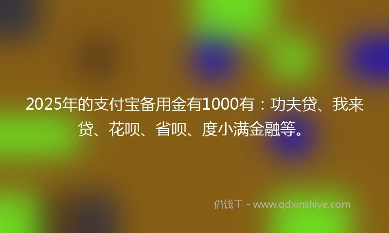 2025年的支付宝备用金有1000有：功夫贷、我来贷、花呗、省呗、度小满金融等。