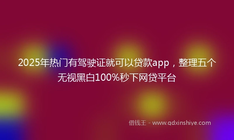 2025年热门有驾驶证就可以贷款app，整理五个无视黑白100%秒下网贷平台