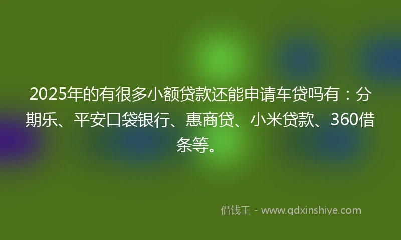 2025年的有很多小额贷款还能申请车贷吗有：分期乐、平安口袋银行、惠商贷、小米贷款、360借条等。
