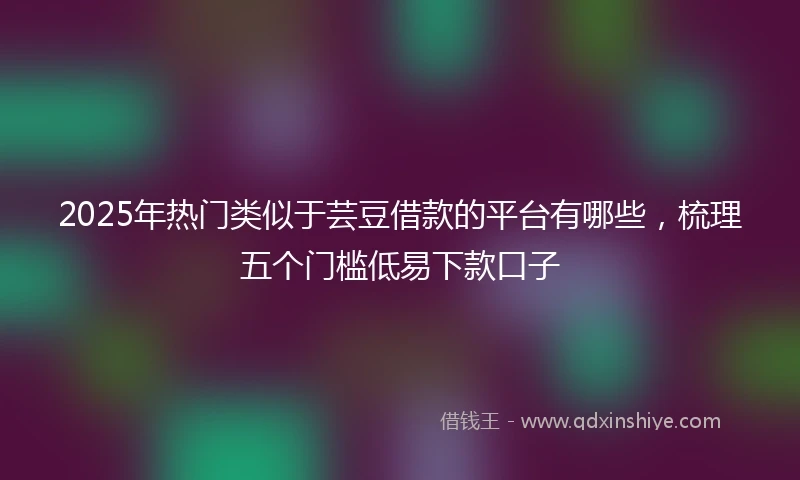2025年热门类似于芸豆借款的平台有哪些，梳理五个门槛低易下款口子