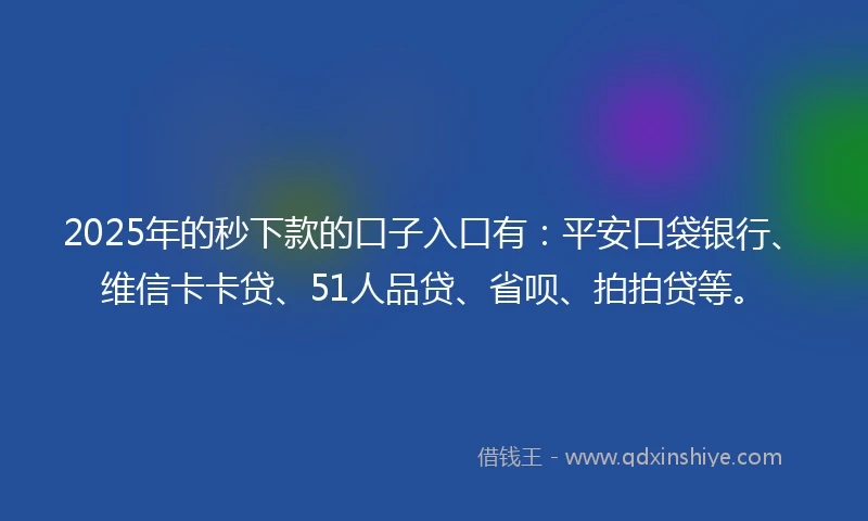 2025年的秒下款的口子入口有：平安口袋银行、维信卡卡贷、51人品贷、省呗、拍拍贷等。