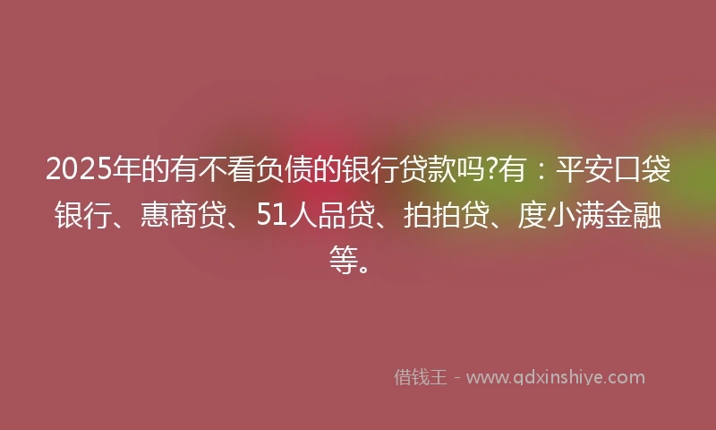 2025年的有不看负债的银行贷款吗?有：平安口袋银行、惠商贷、51人品贷、拍拍贷、度小满金融等。