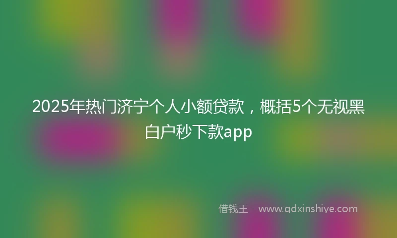 2025年热门济宁个人小额贷款，概括5个无视黑白户秒下款app