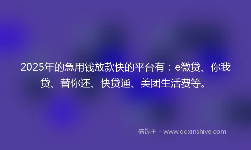 2025年的急用钱放款快的平台有：e微贷、你我贷、替你还、快贷通、美团生活费等。