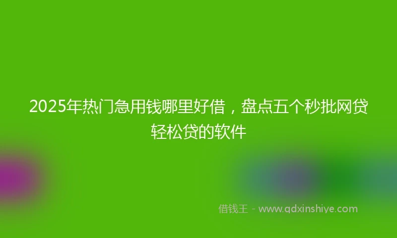 2025年热门急用钱哪里好借，盘点五个秒批网贷轻松贷的软件