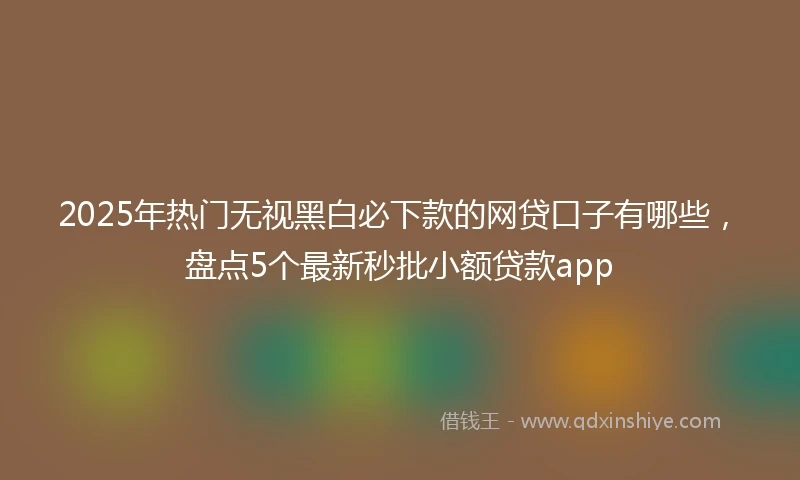 2025年热门无视黑白必下款的网贷口子有哪些，盘点5个最新秒批小额贷款app