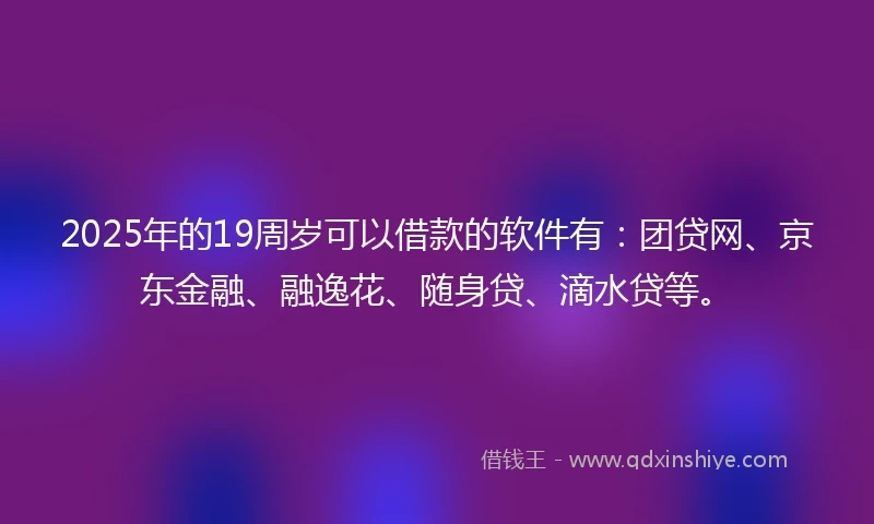 2025年的19周岁可以借款的软件有：团贷网、京东金融、融逸花、随身贷、滴水贷等。