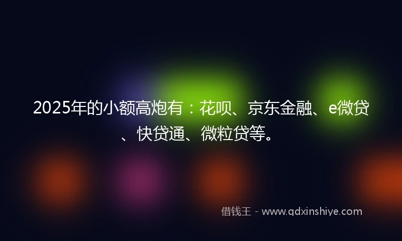 2025年的小额高炮有：花呗、京东金融、e微贷、快贷通、微粒贷等。