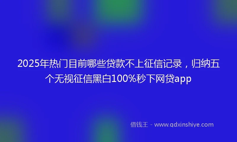 2025年热门目前哪些贷款不上征信记录，归纳五个无视征信黑白100%秒下网贷app