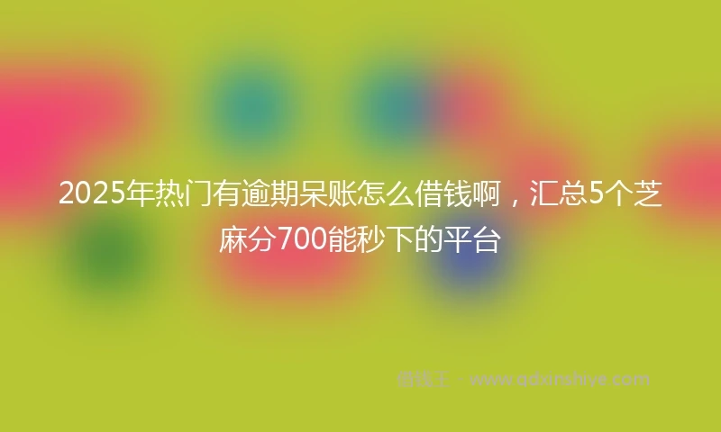 2025年热门有逾期呆账怎么借钱啊，汇总5个芝麻分700能秒下的平台