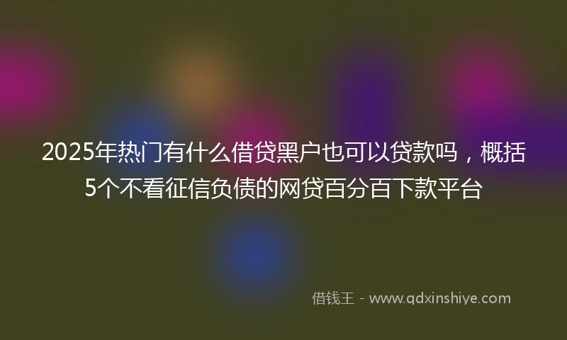 2025年热门有什么借贷黑户也可以贷款吗，概括5个不看征信负债的网贷百分百下款平台