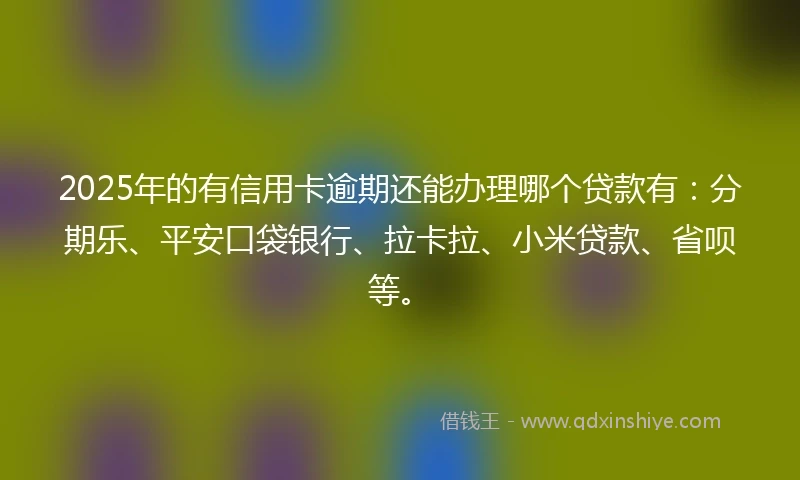 2025年的有信用卡逾期还能办理哪个贷款有：分期乐、平安口袋银行、拉卡拉、小米贷款、省呗等。