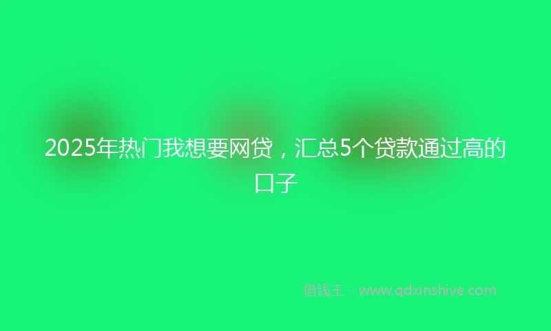 2025年热门我想要网贷，汇总5个贷款通过高的口子