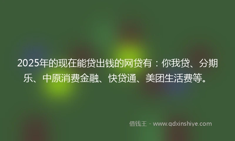 2025年的现在能贷出钱的网贷有：你我贷、分期乐、中原消费金融、快贷通、美团生活费等。