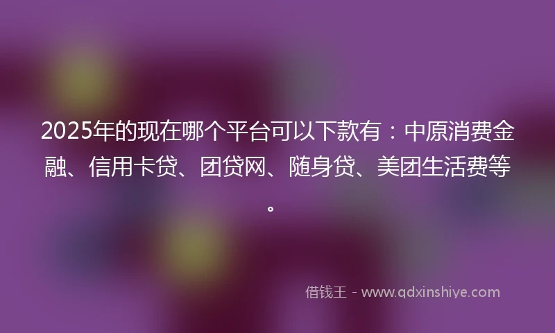 2025年的现在哪个平台可以下款有：中原消费金融、信用卡贷、团贷网、随身贷、美团生活费等。