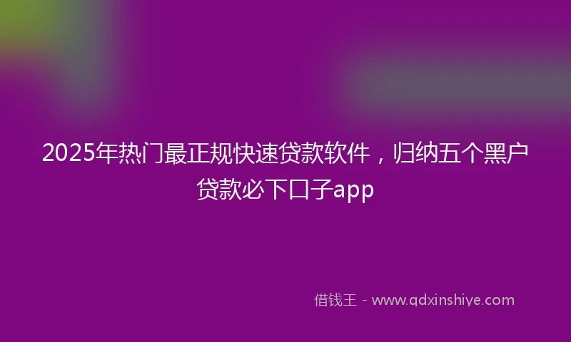 2025年热门最正规快速贷款软件，归纳五个黑户贷款必下口子app