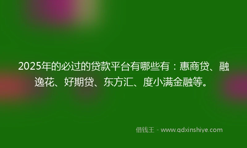 2025年的必过的贷款平台有哪些有：惠商贷、融逸花、好期贷、东方汇、度小满金融等。