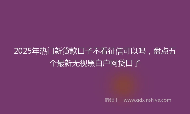 2025年热门新贷款口子不看征信可以吗，盘点五个最新无视黑白户网贷口子