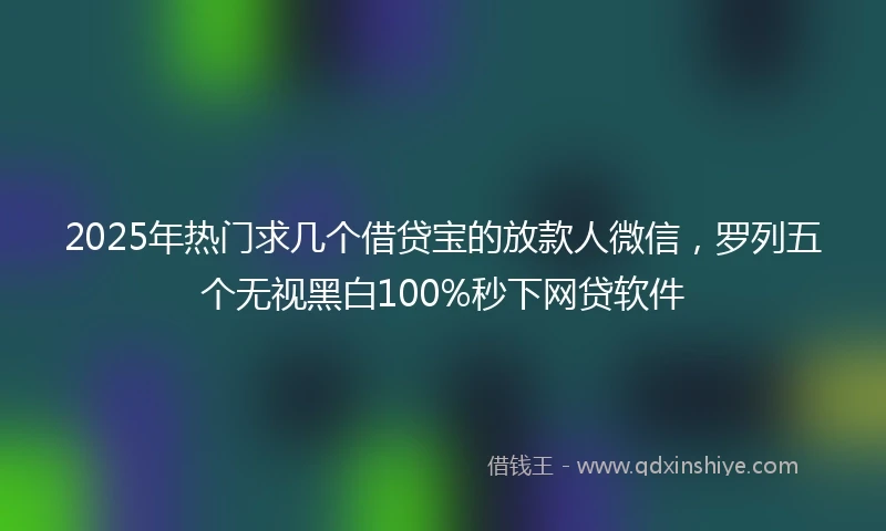 2025年热门求几个借贷宝的放款人微信，罗列五个无视黑白100%秒下网贷软件
