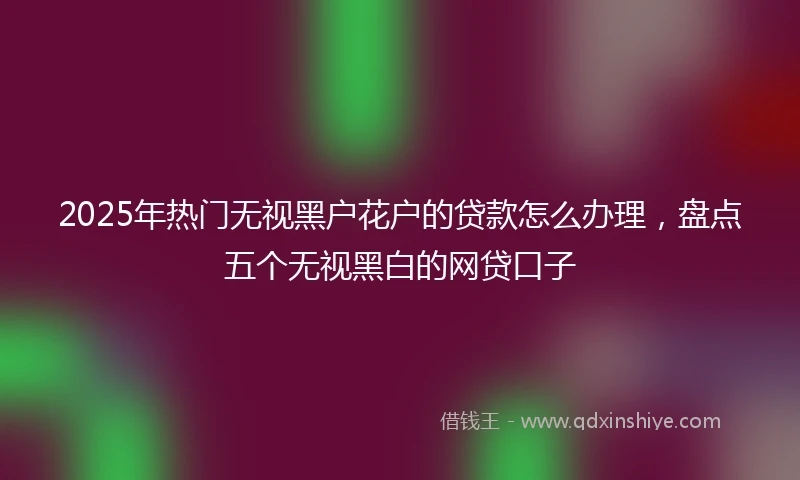 2025年热门无视黑户花户的贷款怎么办理，盘点五个无视黑白的网贷口子