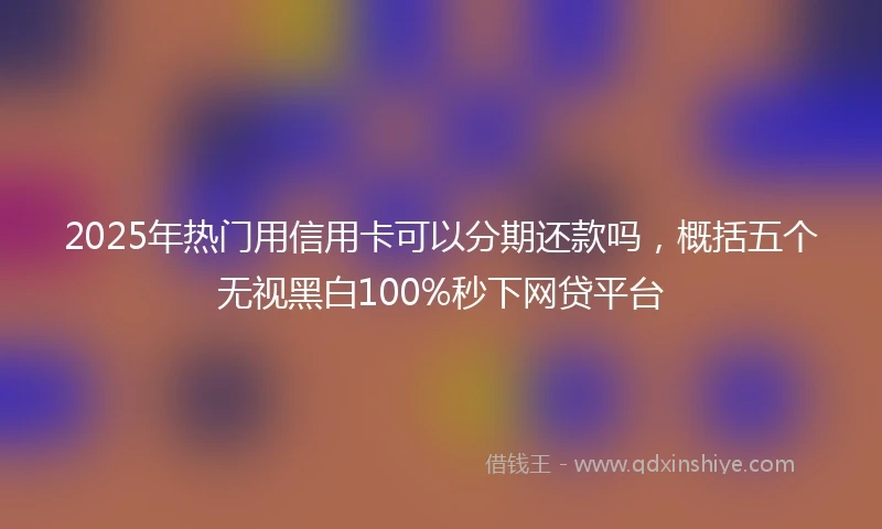 2025年热门用信用卡可以分期还款吗，概括五个无视黑白100%秒下网贷平台