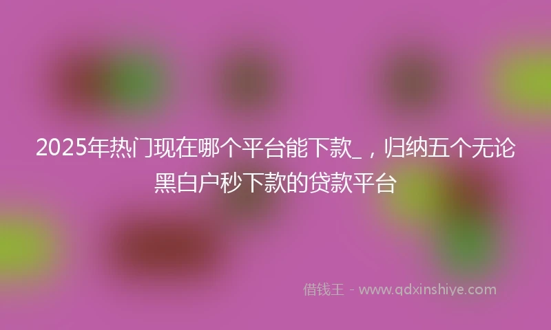 2025年热门现在哪个平台能下款_,归纳五个无论黑白户秒下款的贷款平台