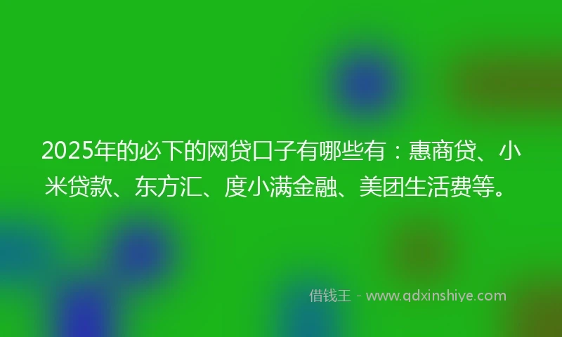 2025年的必下的网贷口子有哪些有：惠商贷、小米贷款、东方汇、度小满金融、美团生活费等。