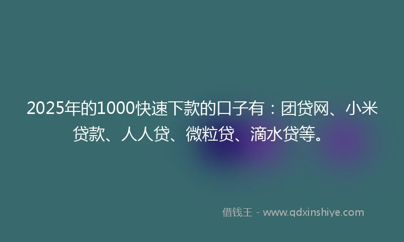2025年的1000快速下款的口子有：团贷网、小米贷款、人人贷、微粒贷、滴水贷等。