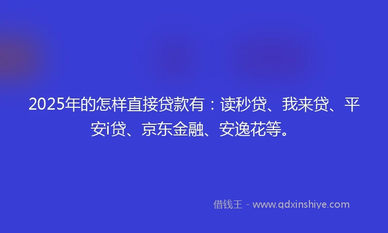 2025年的怎样直接贷款有：读秒贷、我来贷、平安i贷、京东金融、安逸花等。