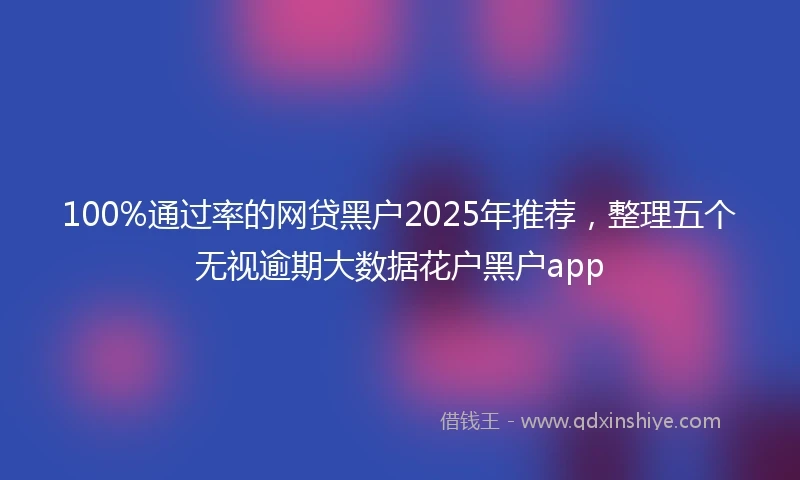 100%通过率的网贷黑户2025年推荐，整理五个无视逾期大数据花户黑户app