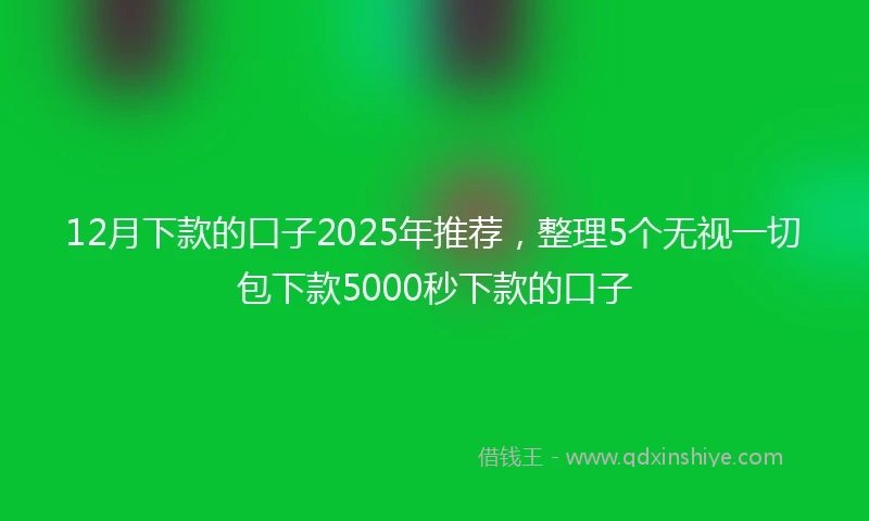 12月下款的口子2025年推荐，整理5个无视一切包下款5000秒下款的口子