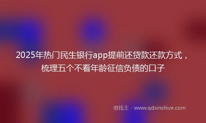 2025年热门民生银行app提前还贷款还款方式，梳理五个不看年龄征信负债的口子