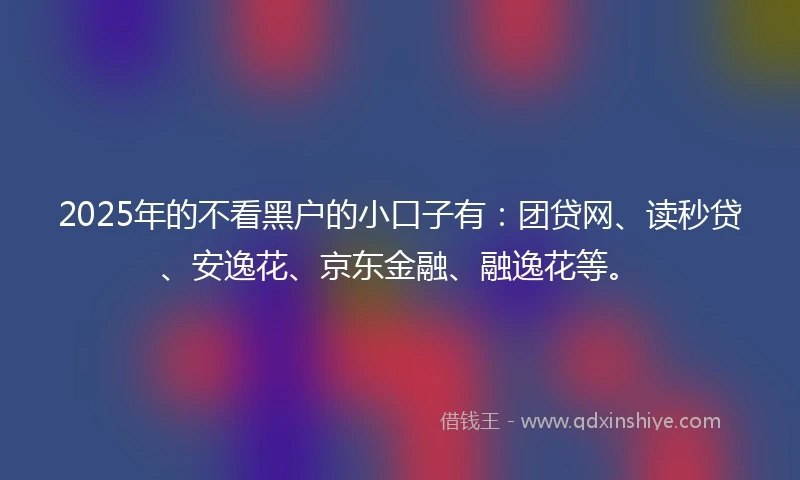 2025年的不看黑户的小口子有：团贷网、读秒贷、安逸花、京东金融、融逸花等。