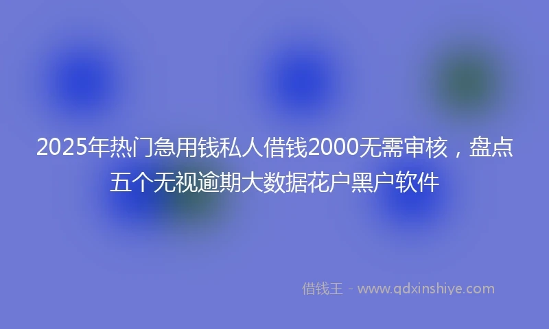 2025年热门急用钱私人借钱2000无需审核，盘点五个无视逾期大数据花户黑户软件