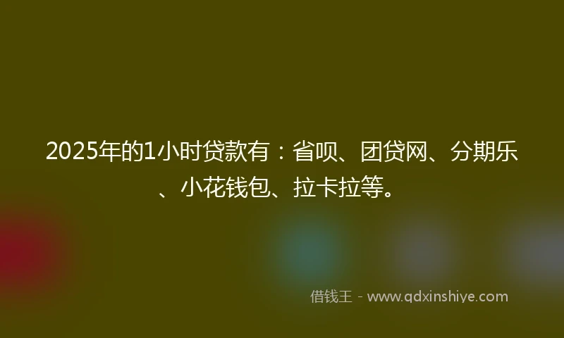 2025年的1小时贷款有：省呗、团贷网、分期乐、小花钱包、拉卡拉等。