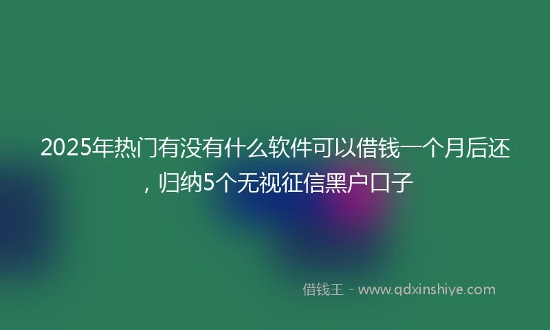 2025年热门有没有什么软件可以借钱一个月后还，归纳5个无视征信黑户口子